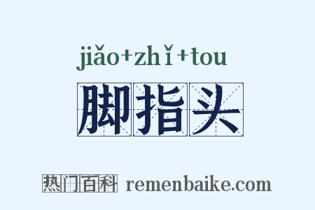 脚指头是什么意思的图片